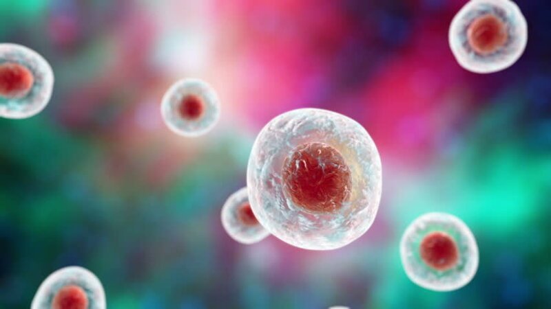 Ученые нашли клетку, вызывающую рак
