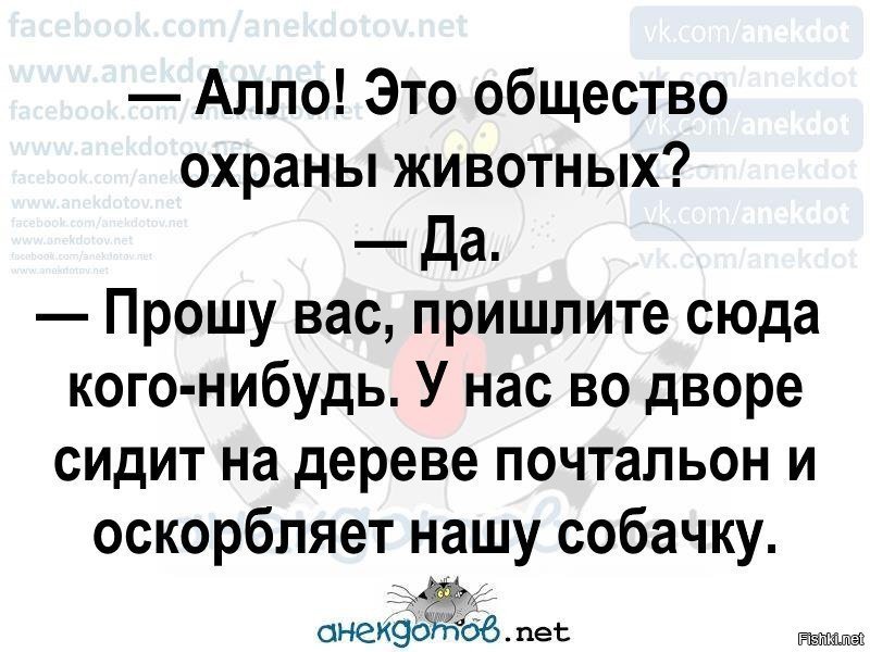 Анекдотов нет развлекательный портал картинки