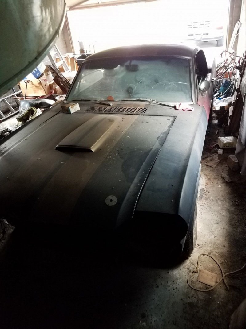 Из проката в забытье: уникальный Mustang нашли в сарае