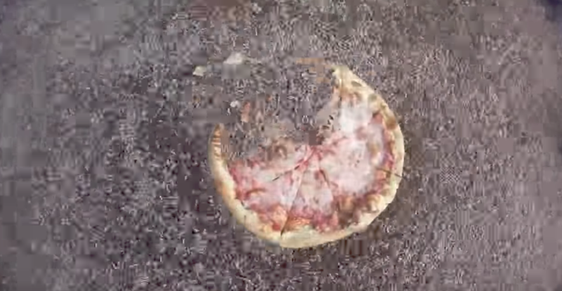Ученые выяснили, с какой скоростью личинки мухи могут осилить 16-дюймовую пиццу