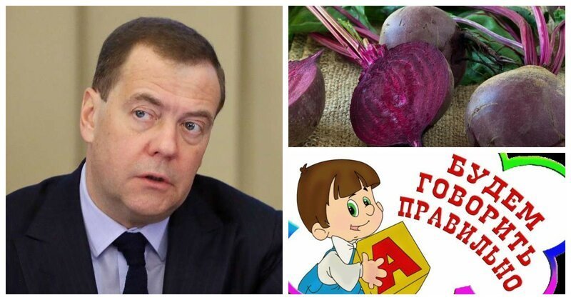 "Я вам как аграрий аграрию говорю": Медведев научил правильно произносить слово "свекла"