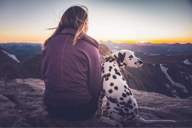 Кроме обнимашек пёс любит от души побегать — в парке, в горах и везде, куда его отведёт хозяйка
