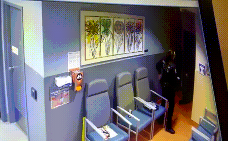 Дерзкий побег