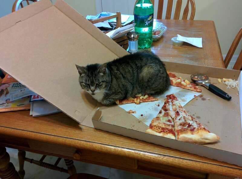 «Я думаю, ты догадался, что теперь это моя пицца».