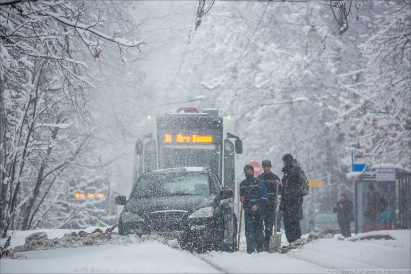Олень дня: в Москве водитель решил объехать пробку по трамвайным путям и застрял в снегу