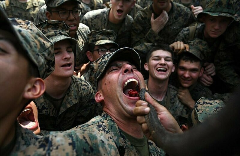 Зачем американских солдат заставляют пить кровь змеи