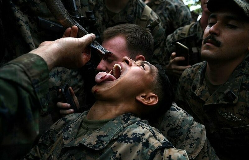 Зачем американских солдат заставляют пить кровь змеи