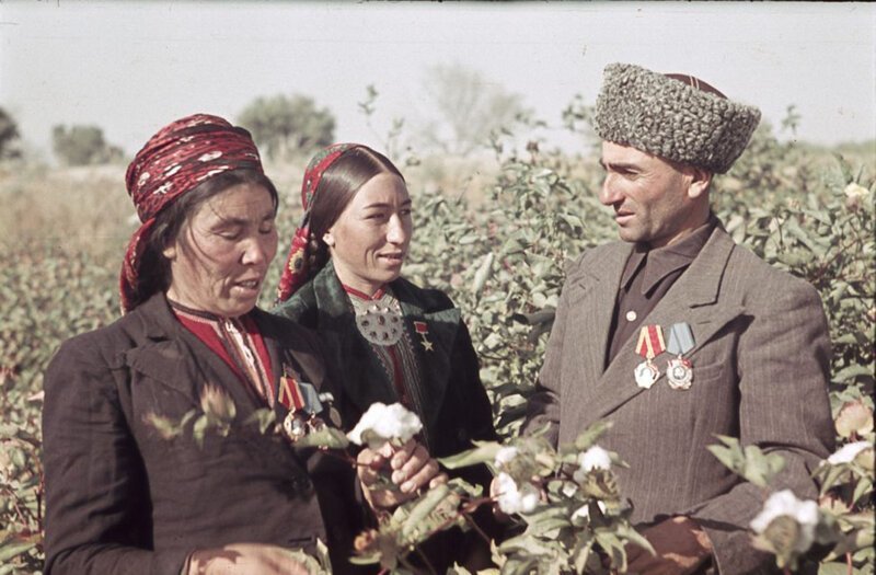 Депутат Верховного совета Таджикской ССР, герой соцтруда, председатель колхоза на сборе хлопка