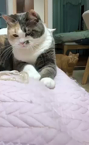 Для настроения