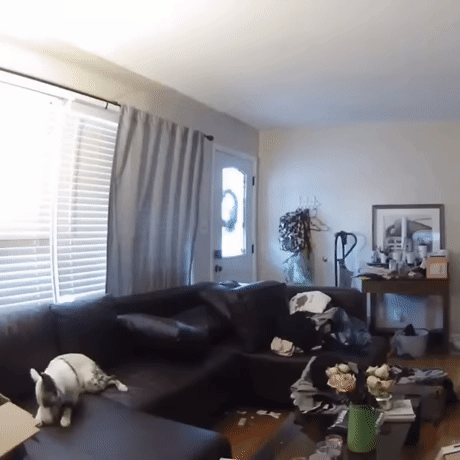 Когда оставили дома одного