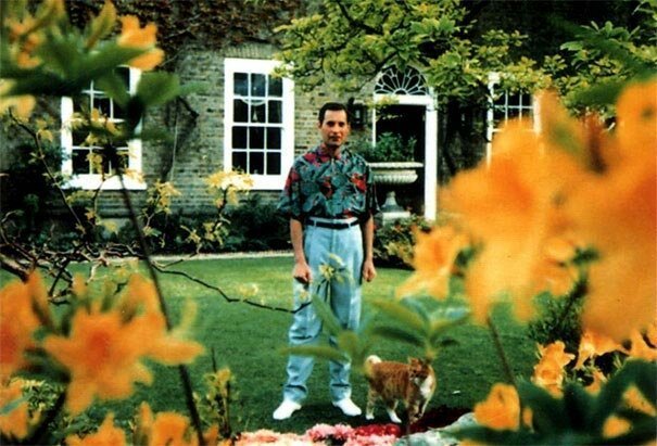 Эти фотографии были сделаны Хаттоном в 1991 году на заднем дворе их дома в Гарден Лодж в Лондоне