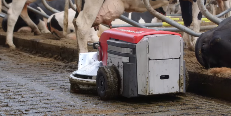 А еще придуманы куча роботов-уборщиков. Они снуют по фермам, где коровы гуляют сами по себе и абсолютно им не мешая, убирают навоз