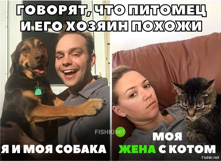 Husband dog wife. Я С собакой и жена с котом. Я И моя собака жена и ее кот. Жена кота. Муж жена и собака Мем.