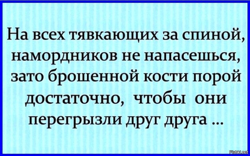 Не можете сказать в глаза не тявкайте тогда за спиной картинки