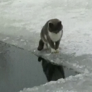 Зимняя рыбалка