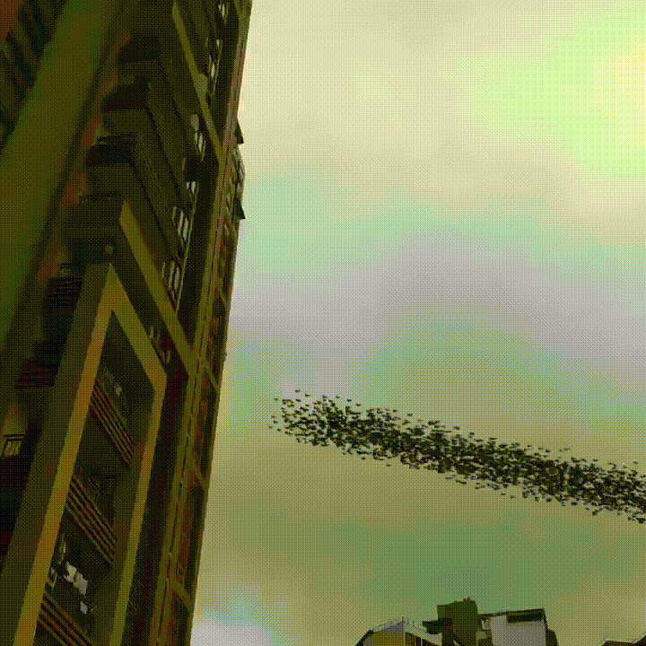 Ровным строем