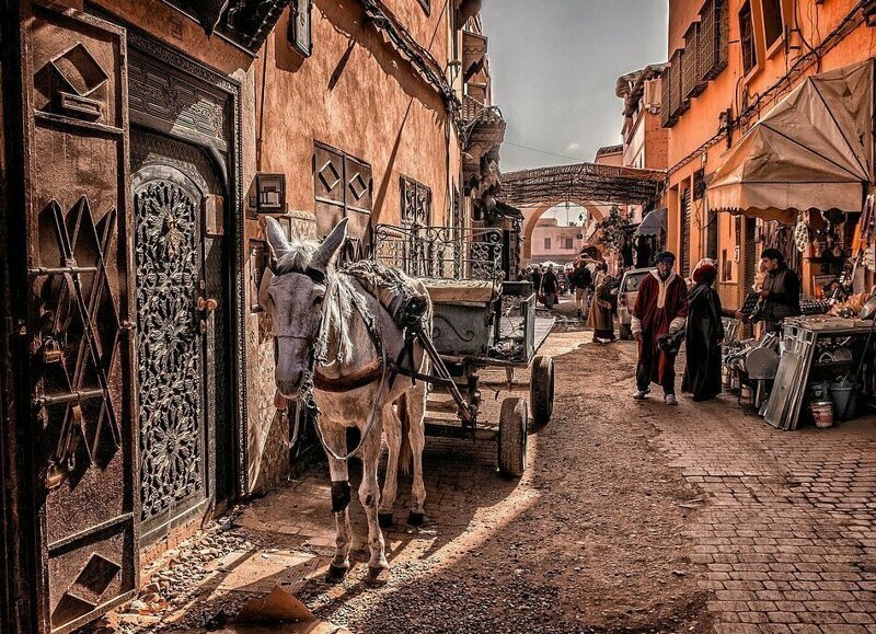 Ослик на пыльной улице Марракеша, Марокко (Майк Райан, категория "Портфолио")