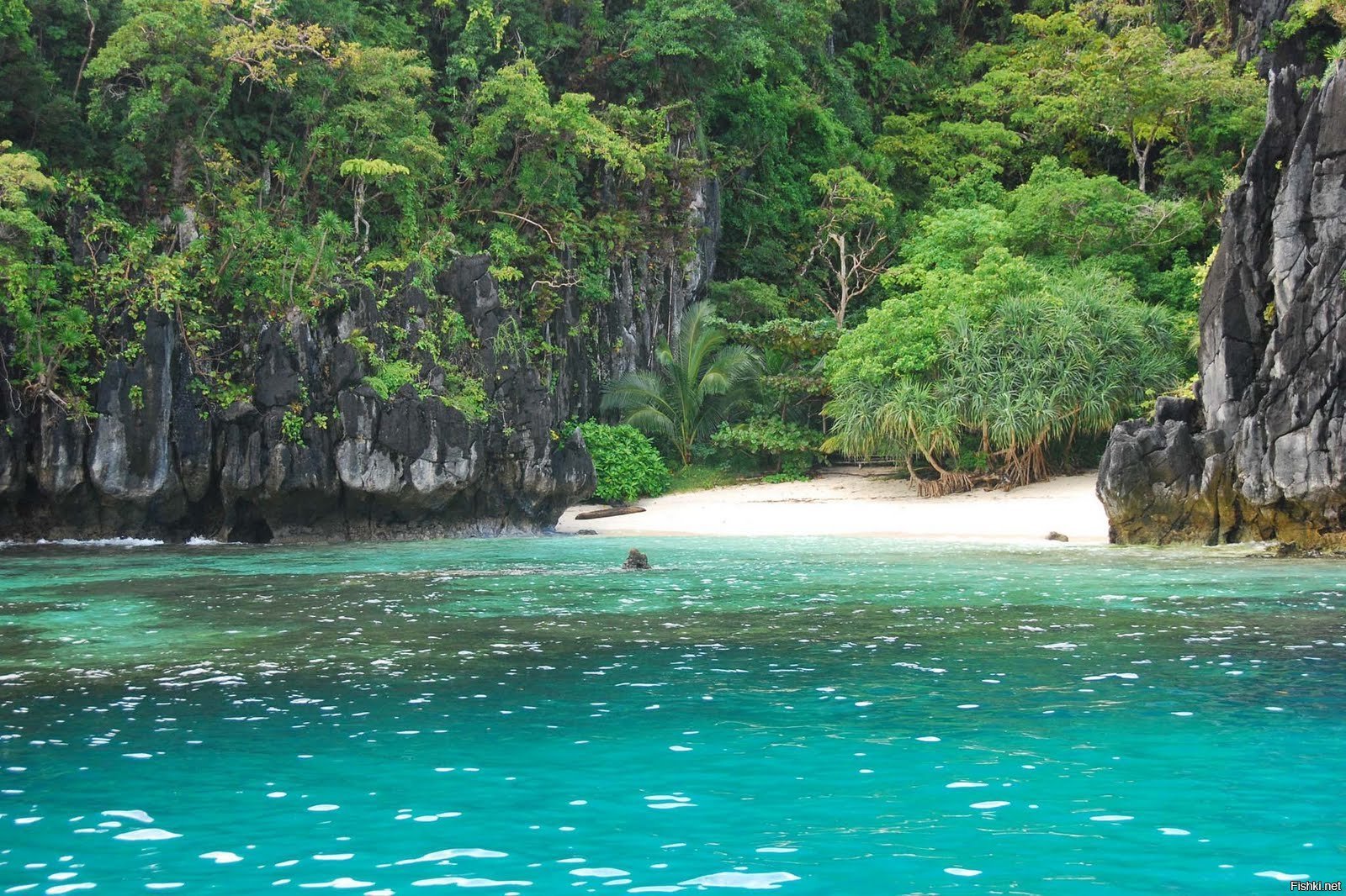 1 остров любой. Эль Нидо Филиппины. Палаван Филиппины. Эль-Нидо, остров Палаван. Остров Саламан Филиппины.