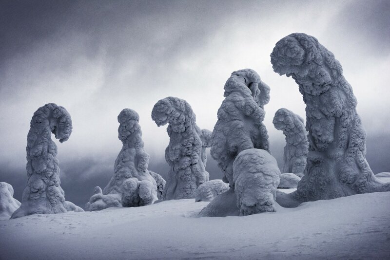 Премия в категории «Снег и лед». «Замороженные гиганты». Автор фото: Ignacio Palacios, Австралия.