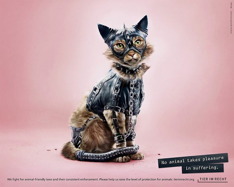 "Ни одно животное не получает удовольствия от страданий" - в этом слоган и посыл сильной социальной рекламы фонда Tier im Recht