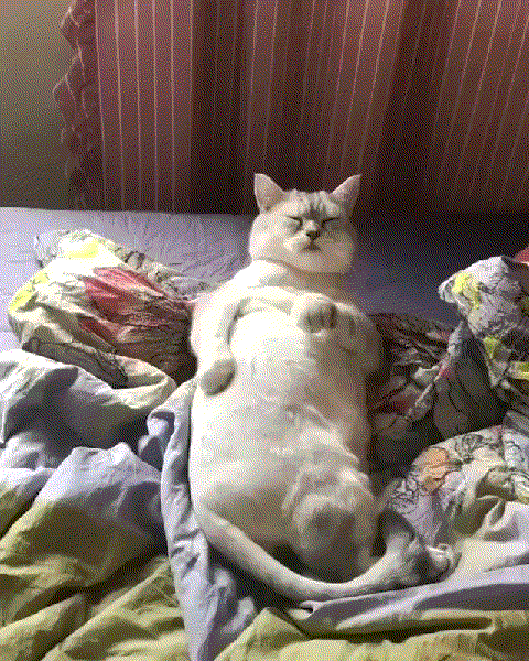 Позаботься о себе сам