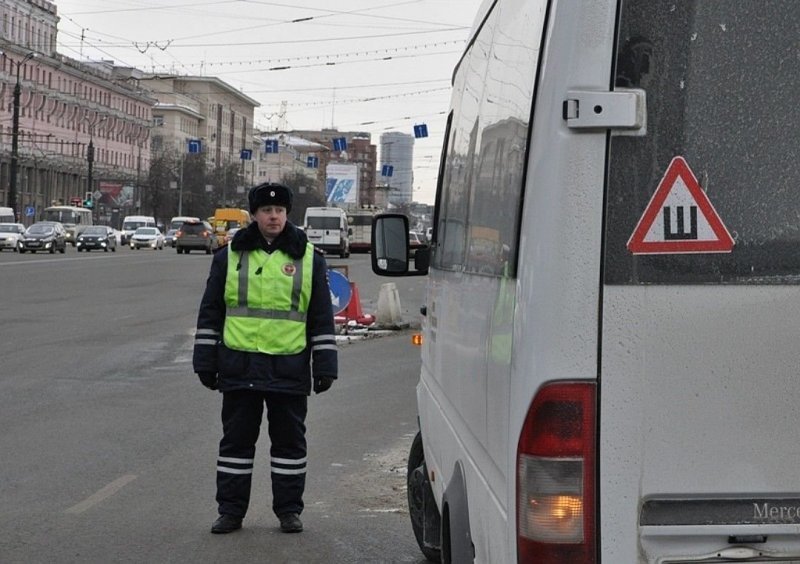Подробнее о полицейском, который помог хромой собаке перейти дорогу в Челябинске