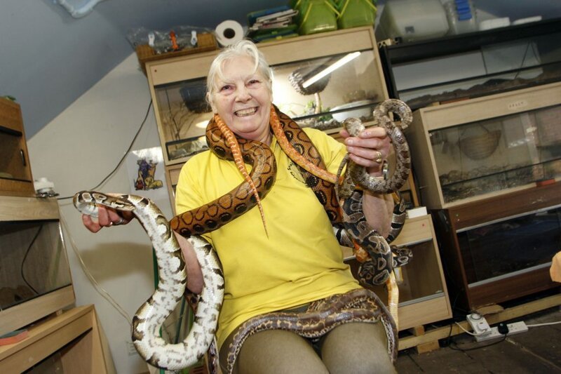 Бабуля потратила миллионы, чтобы стать королевой змей