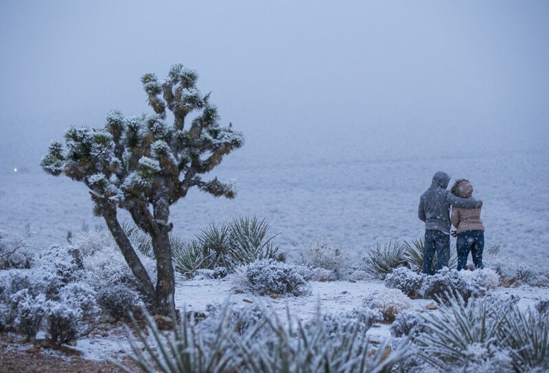 Впервые за десять лет в Лас-Вегасе выпал снег: люди фотографируют чудо и изумляются