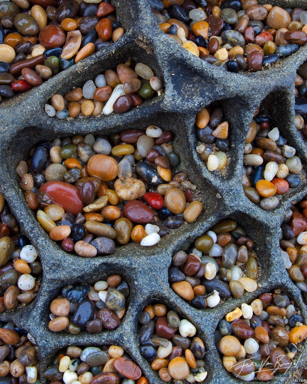 Nature treasures. Морские камни. Морская галька. Красивые морские камушки. Пляж галька.