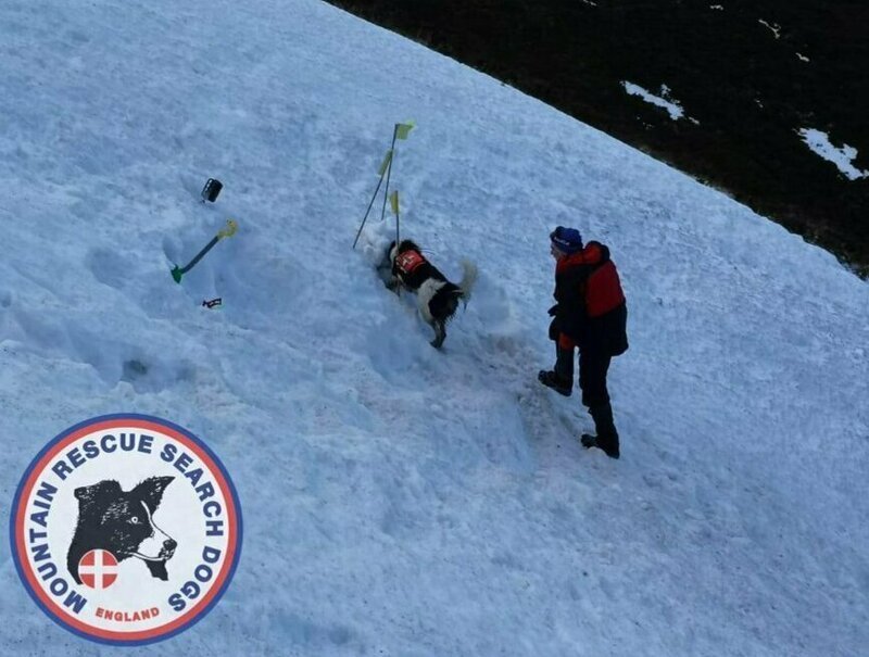 Поисковая собака за 30 секунд спасла оператора из-под снежного завала