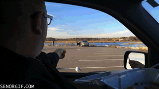 Зверские гифки