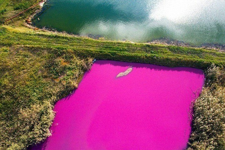 В 2016 году небольшой водоем в промзоне на окраине Ставрополя окрасился в ярко-розовый. Водоем оказался коллектором, в который сбрасывает отходы завод химической промышленности