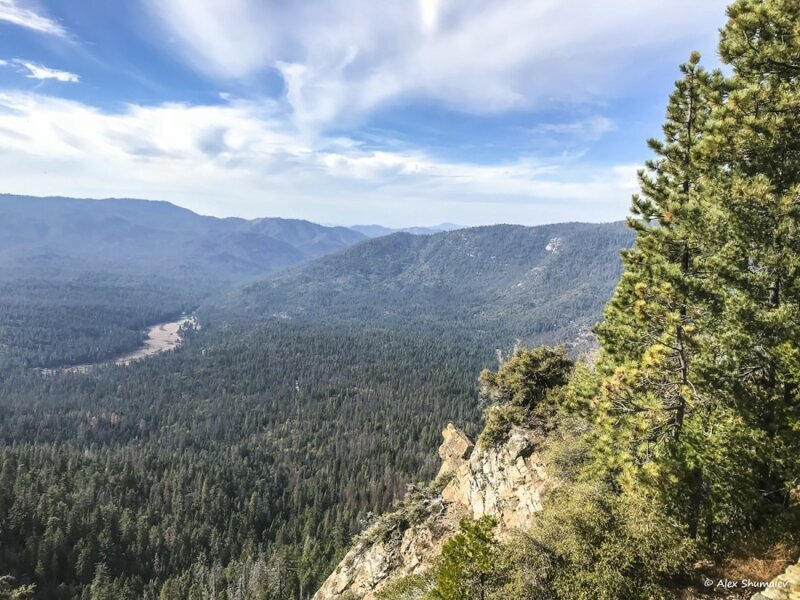 Путешествие в страну великанов: 500 секвой рощи Марипоса в Йосемити