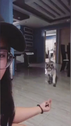 Для утреннего настроения