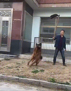 Перехитрила хозяина