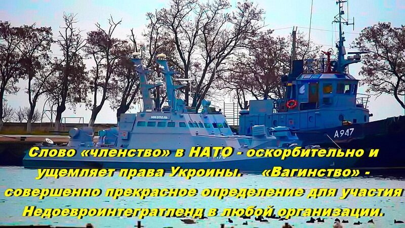 - Вы будете опять себе выступать на Евровидении?   - Не на, а в Евровидении!