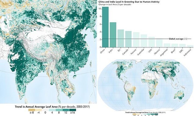 Планета зеленеет стараниями Китая и Индии