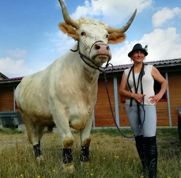 Засветы девушек на быке аттракционе родео фото