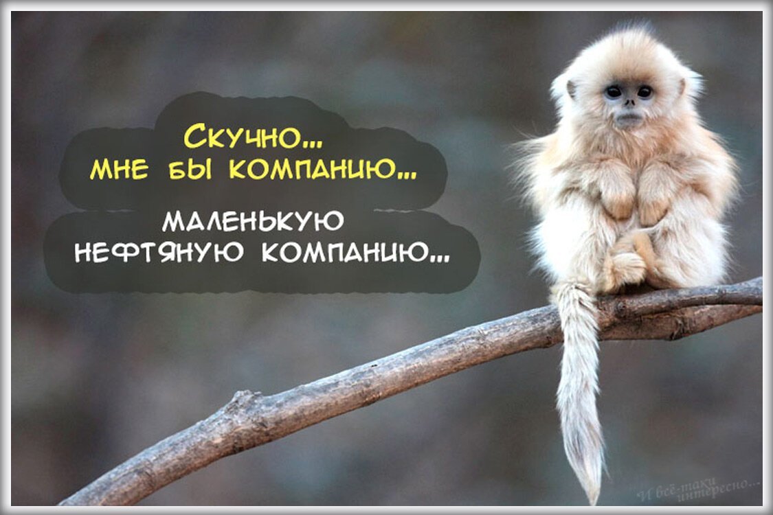 Картинки для улыбки