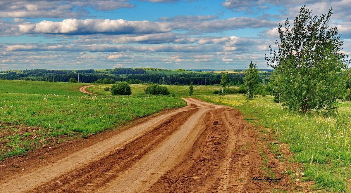 Сельская дорога картинка