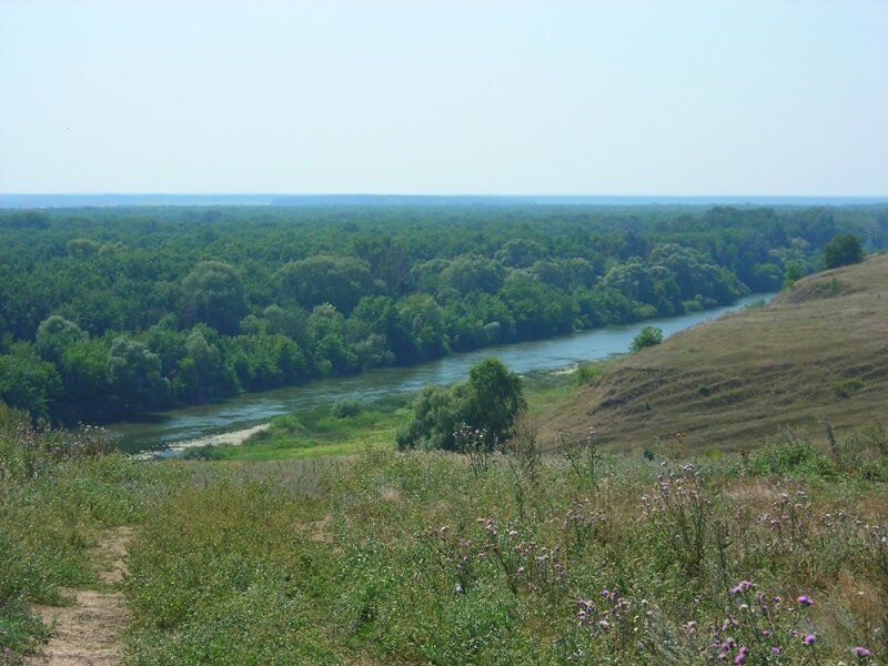 Красота сельских дорог