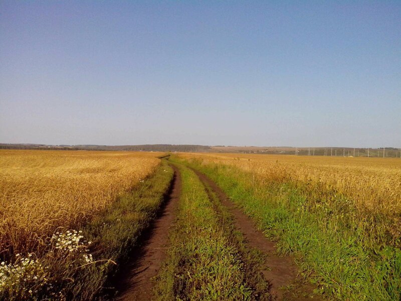 Красота сельских дорог