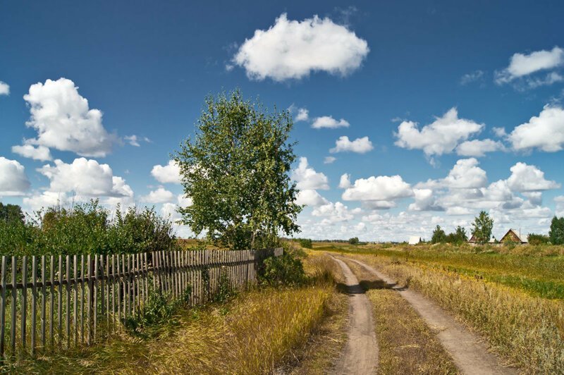 Красота сельских дорог