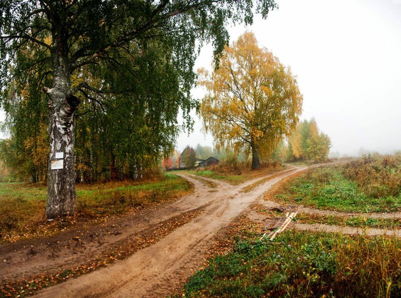 Красота сельских дорог