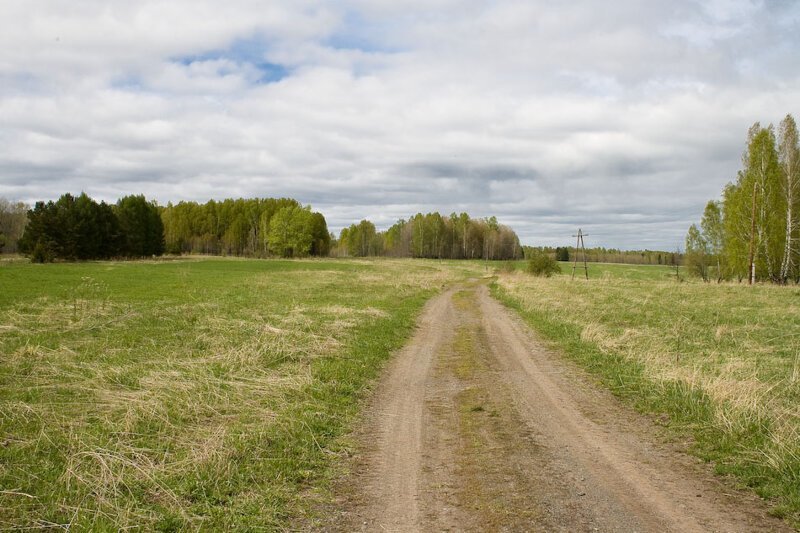 Красота сельских дорог