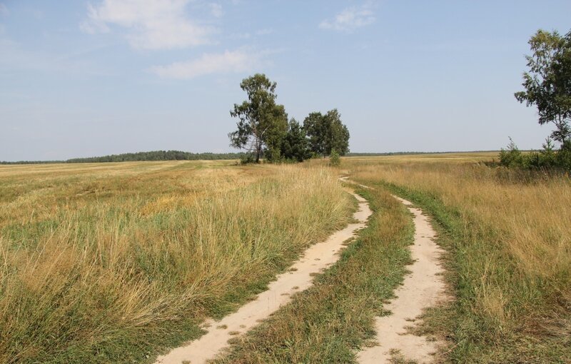 Красота сельских дорог