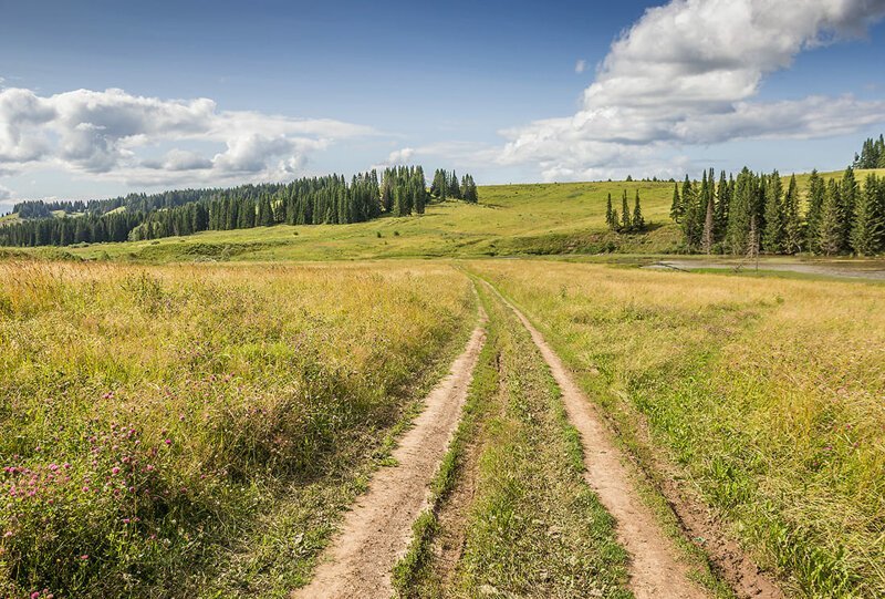 Красота сельских дорог