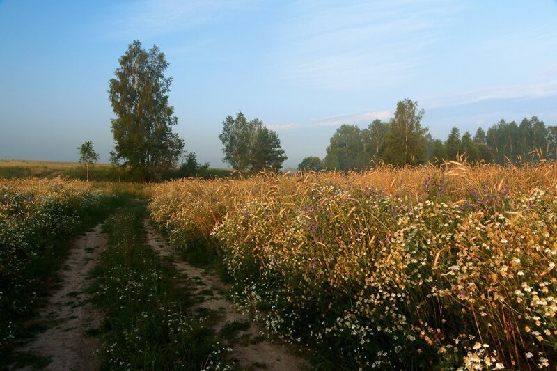 Красота сельских дорог