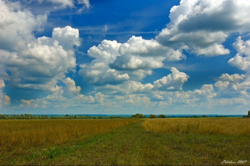 Красота сельских дорог