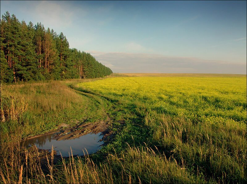 Красота сельских дорог